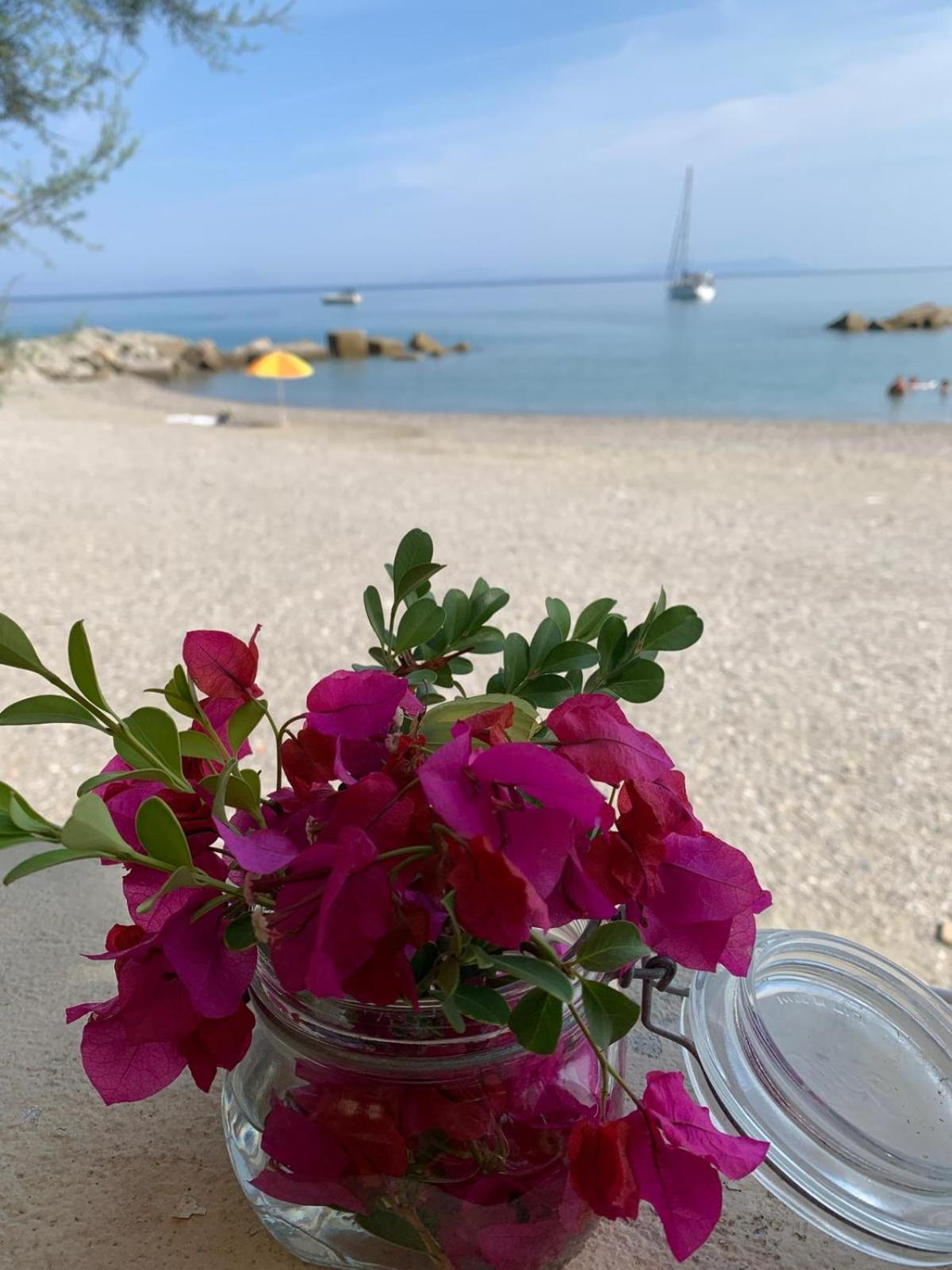 Testa Di Monaco Natural Beach Capo dʼOrlando المظهر الخارجي الصورة