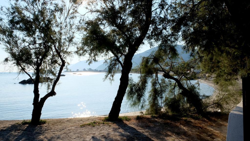 Capo dʼOrlando Testa Di Monaco Natural Beach المظهر الخارجي الصورة